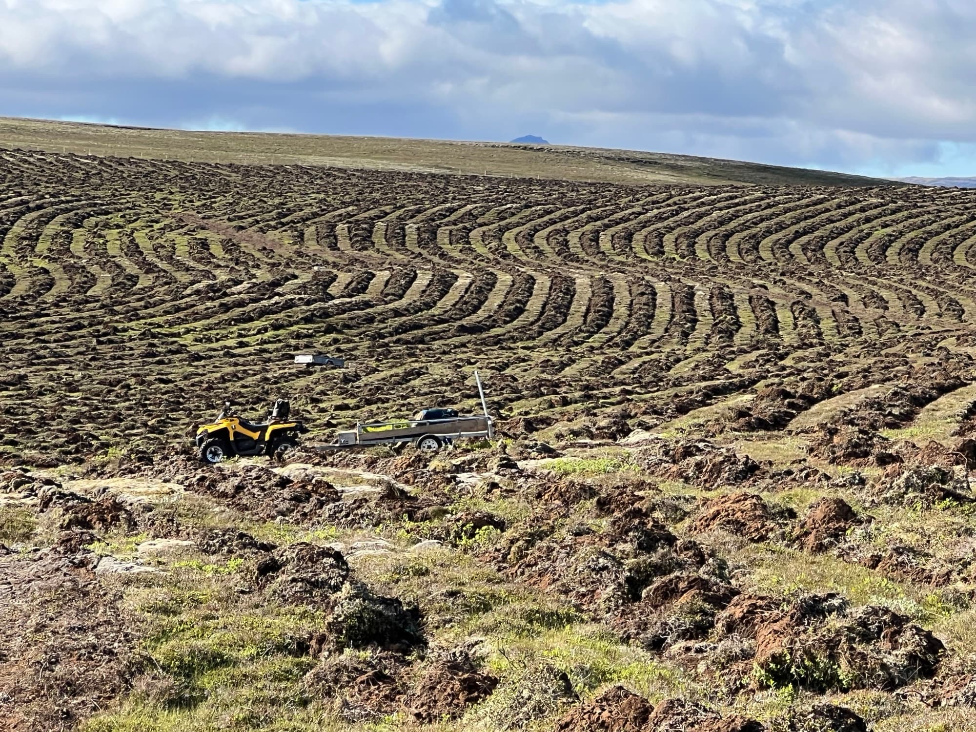 Ploughed land ready for planting