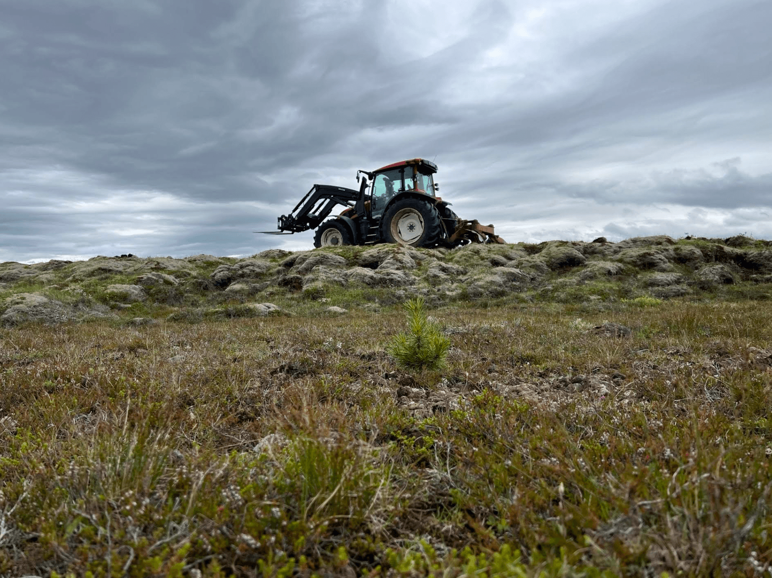 A tractor on the heath under a cloudy sky