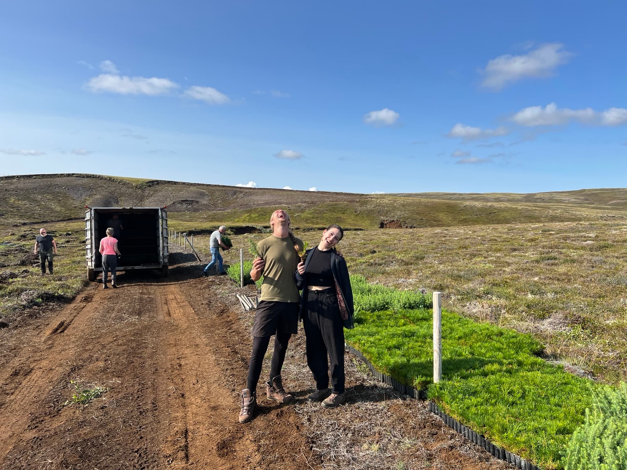 Plöntur teknar af kerru við slóðann