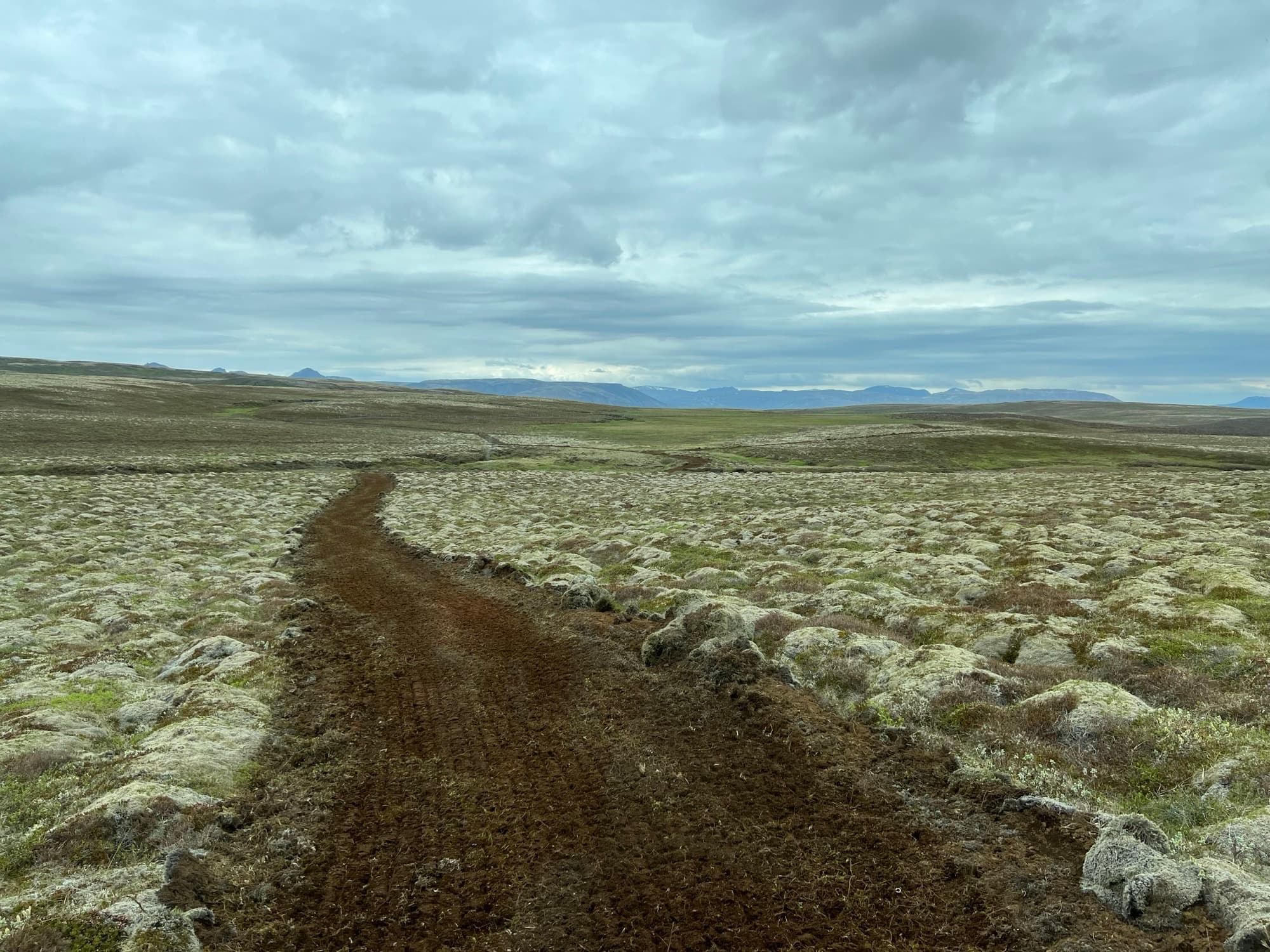 Jarðunnin rás yfir mosavaxna heiði