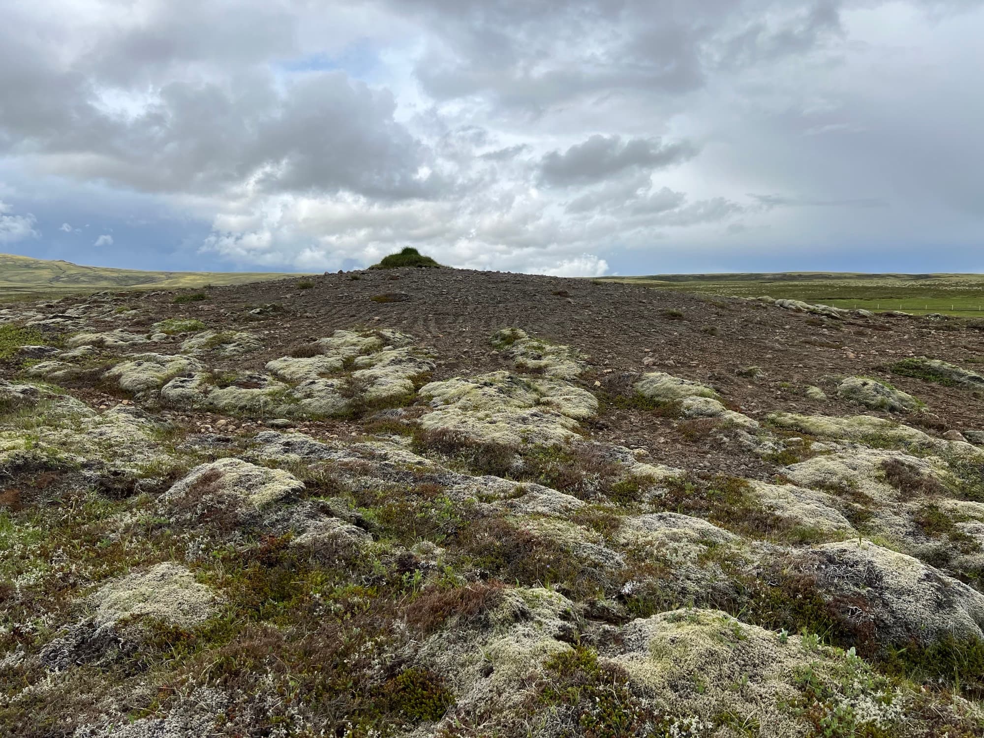 Heiðarland fyrir gróðursetningu